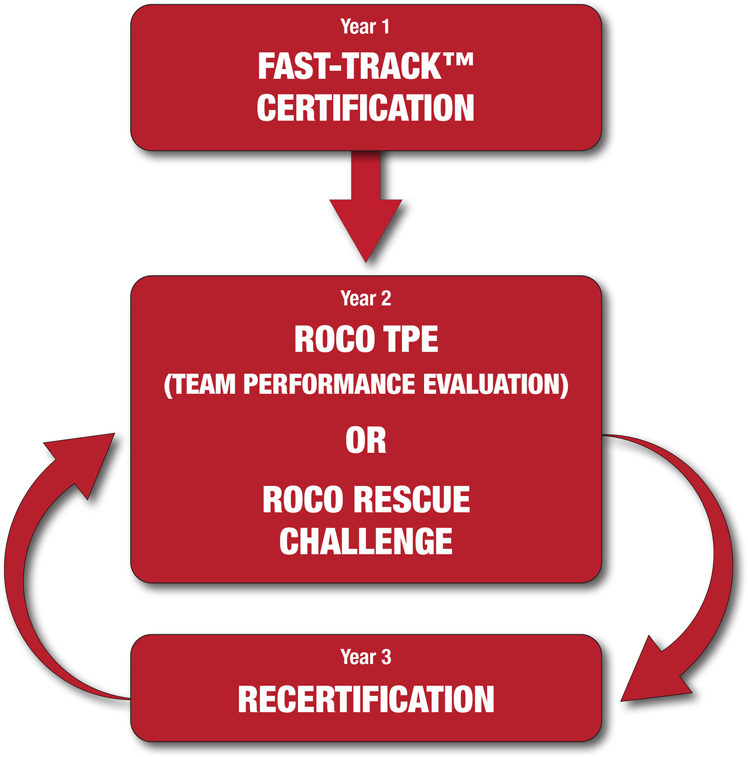 Training Cycle